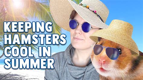 How To Keep Hamsters Cool In The Summer (and other small ...