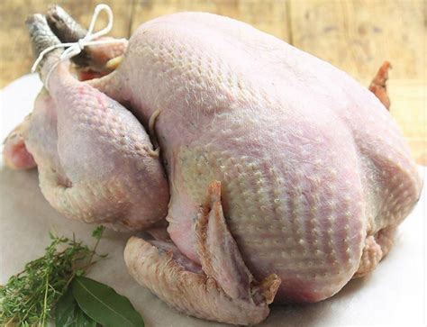 Check spelling or type a new query. Farm Fresh County Down Free Range Turkeys - Masseys ...