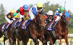 Manage your video collection and share your thoughts. 安田記念2021｜G1特集｜競馬情報ならJRA-VAN