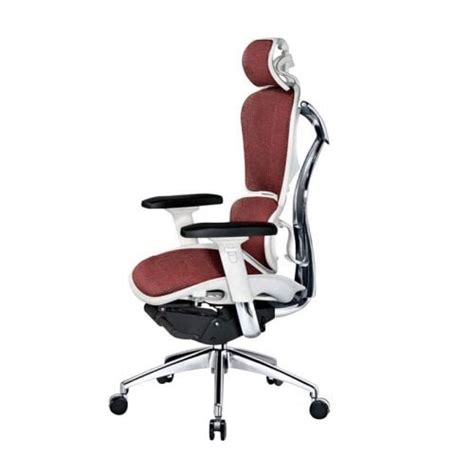 How to pick an ergonomic office chair. Best Ergonomic Mesh Office Computer Chair Lumbar Support