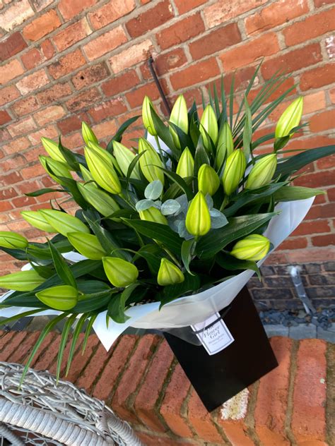 Check spelling or type a new query. Next Day Flower Delivery for Solihull and Birmingham ...