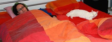 Er pinkelt auf unsere flauschigen teppiche oder das bett und immer nur nachts, oder wenn wir nicht daheim sind. Unsaubere Katze - 10 Gründe und Tipps - Haustiermagazin