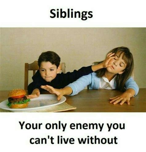 Funny brother and sister quotes for instagram. Pin by Rabyya Masood on Cool Name Pending | Siblings funny ...