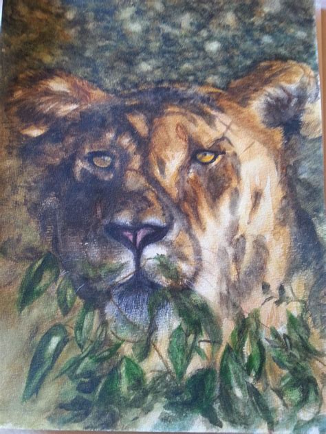 Drawing pens were once solely the domain of engineers and architects, but that changed when illustrators, cartoonists, and other artists discovered them, too. Lioness in water colour by Gayner Vlastou | Mother art ...