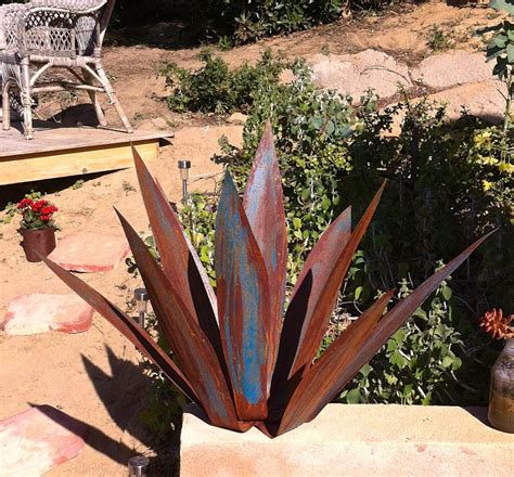 Tug on the base of the agave sucker in two to three weeks to test its root production. Rusty Blue Tequila Agave, Metal Yard Art, Metal Garden ...