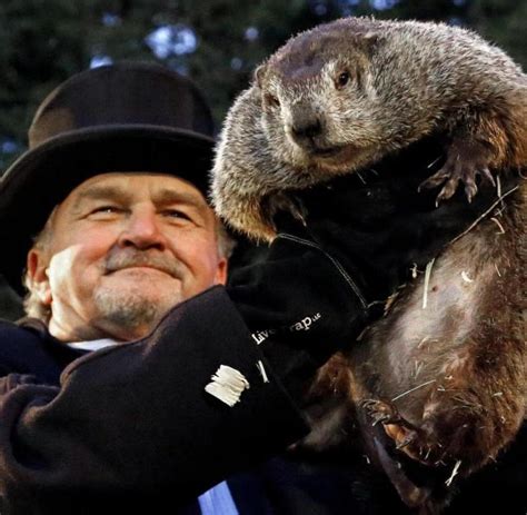 Um phil die prognose zu entlocken, riss ihn die männertruppe des groundhog club frühmorgens aus. Murmeltiertag in den USA: Phil sagt langen Winter voraus ...