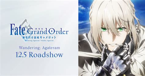 Fate/stay night has really blown up over the years. 「Fate/Grand Order -神聖円卓領域キャメロット-」公式サイト