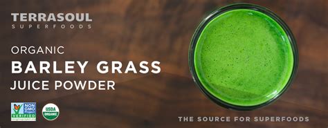 1 cup (148 grams) of blueberries. Amazon.com : Terrasoul Superfoods Barley Grass Juice Powder (Organic), 5 ounce : Grocery ...