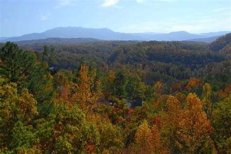 Sevierville offers a wide selection of cabin rentals from rustic to luxurious, cozy to cavernous, across a range of price points. Heaven's Garden: 2 Bedroom Vacation Cabin Rental ...