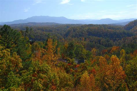 Smoky mountain splendor is a large, luxury cabin rental in sevierville, settled in the scenic great smoky mountains of e. Heaven's Garden: 2 Bedroom Vacation Cabin Rental ...