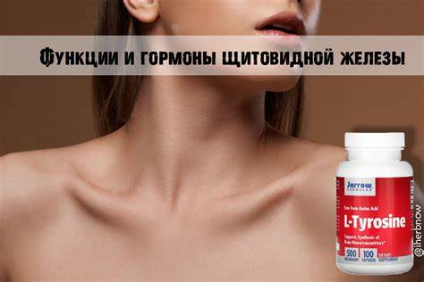 Аутоиммунный тиреоидит щитовидной железы диета Болезни щитовидной железы - гипотиреоз и гипертиреоз, АИТ Болезни щитовидной железы - гипотиреоз и гипертиреоз, АИТ Аутоиммунный тиреоидит щитовидной железы диета