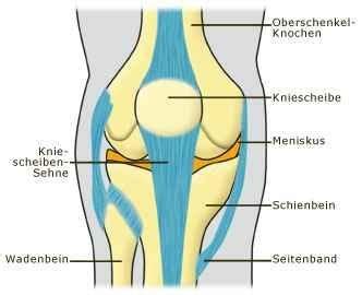Ich kann nicht ewig auf sie warten und ich bin schon richtig krank. Sport nach Meniskusoperation? (Gesundheit, Medizin, Meniskus)