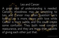 Can leo and cancer compatibility build a strong foundation of. 34 Best leo images | Leo, Leo zodiac, Zodiac