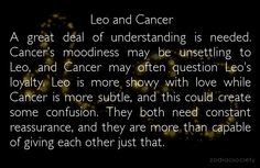 Leo woman also wants a family but her way of doing things is likely different from. 34 Best leo images | Leo, Leo zodiac, Zodiac