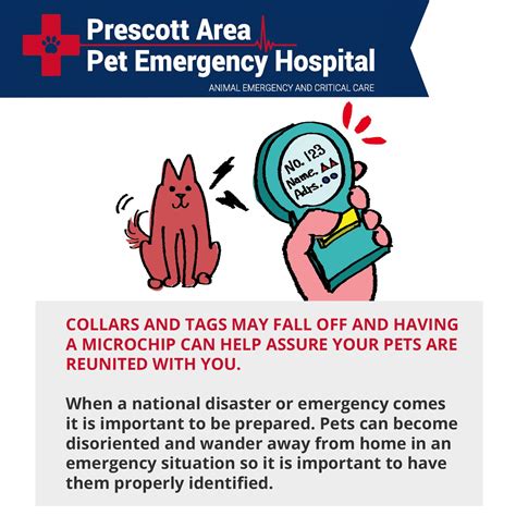 We welcome pet owners to come in and take a tour of our hospital anytime. Common Pet Emergencies | Pet emergency, Pet emergency ...