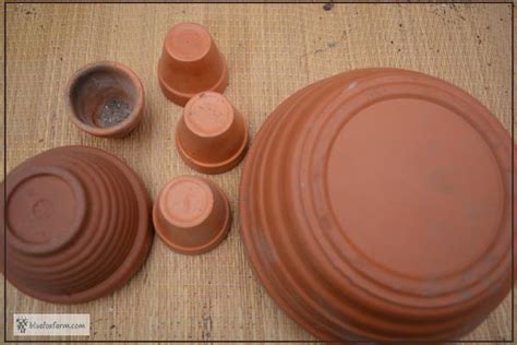 They're great for plants because they're porous and allow air and water to flow through them. Terracotta Clay Pots - old fashioned, yet new again