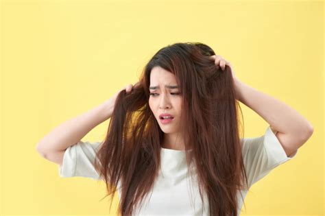 Untuk rambut yang cenderung kering — basahi rambut, kemudian usapkan green angelica shampoo secukupnya. 15 Rekomendasi Shampo untuk Rambut Kering dan Mengembang ...