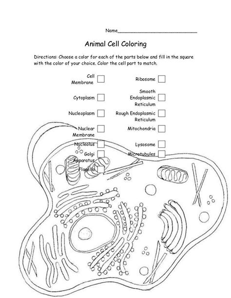 Animal and plant cell coloring. Animal Cell Coloring Worksheet Biology Animal Cell ...