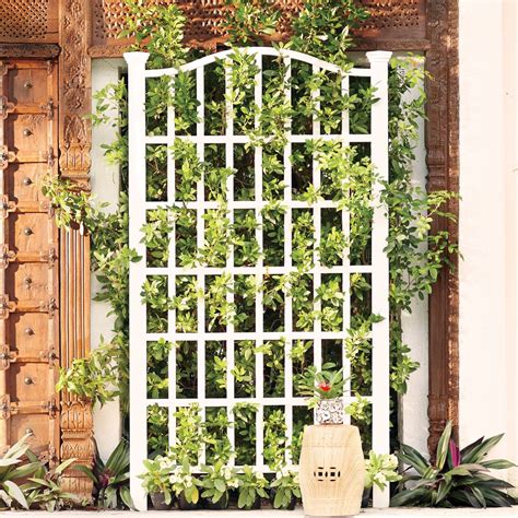 Our garden's archway trellis was a new addition in 2017, and one that we're going to use again this spring. Sol 72 Outdoor™ Ansonia Vinyl Lattice Panel Trellis ...