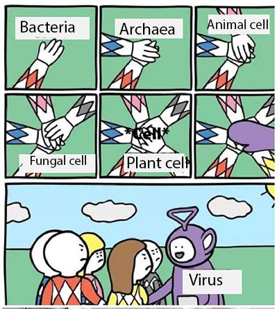 Cells can be thought of as tiny packages that contain minute factories, warehouses, transport systems, and power plants. IB Biology - The Cell Theory - biology IB cell theory ...