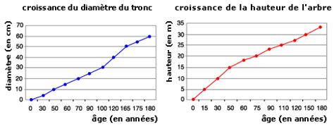 Graphiques bts communication visuelle bts. Cours de SVT 6e - Production de matière par les végétaux chlorophylliens - Maxicours.com