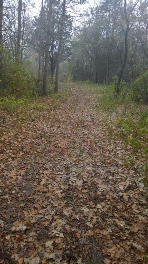 One of the main roads into mount st. Richard Bong State Recreation Area (With images ...