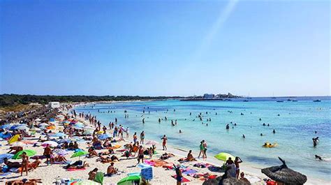 It is the last large sand that remains unbuilt in mallorca and is famous throughout the world for its crystal clear turquoise waters. Es Trenc - The Best Beach In Mallorca