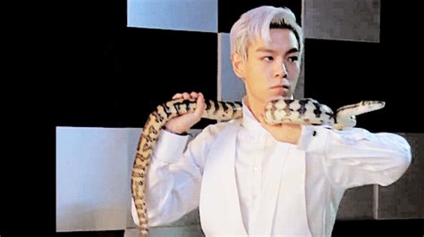 T.o.p begins his mandatory military enlistment on february 9, 2017. T.O.P. vs snake #BIGBANG | Bigbang, Bigbang instagram ...