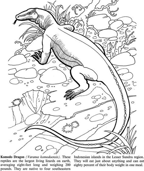 What kind of lizard is on a lizard coloring page? Coloring Pages - Endangered Animals - Zebra - Komodo ...