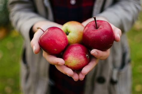 Jabłko ma niesamowite właściwości zdrowotne! Sprawdź, ile kalorii ma ...