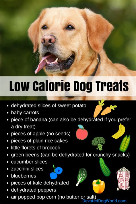 These treats may be made of a wide. Does your dog need to go on a diet? Low calorie natural ...