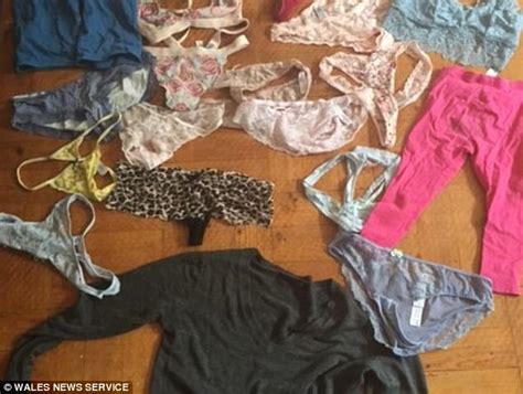 (actually, less than most others.) Feisty cat filmed stealing knickers from neighbour's line ...