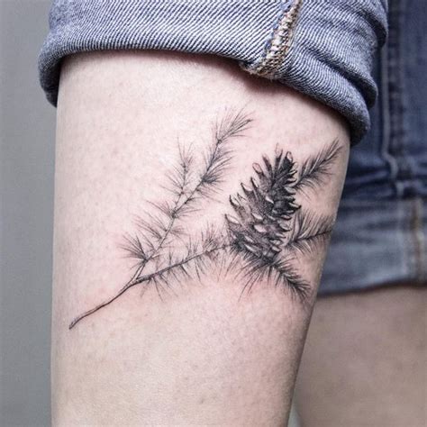 Tree leaves give the meaning of growth and decaying leaves mean dainty pine tree tattoo. 42 Pine Tree Tattoo Ideas To Try In March, 2020 | Pine ...