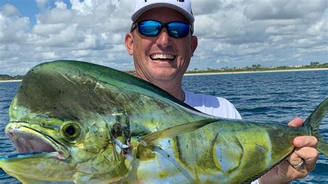 How to cook mahi mahi 101the only resource you will need to cook your fresh dolphin (mahi) filetsphoto of miami fishing mahi is one of the most abundant and best tasting sportfish out there. MAHI and LOBSTER {Catch Clean Cook} HOW TO MAKE Crunchy ...
