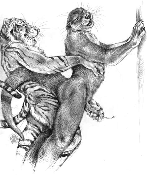 I sketch, drink beer, suffer a seizure (i suspect due to frequent kicks to the head from zebra) wake up in a strange place and begin. Tiger & otter by Blotch | Art - Blotch / Screwbald ...