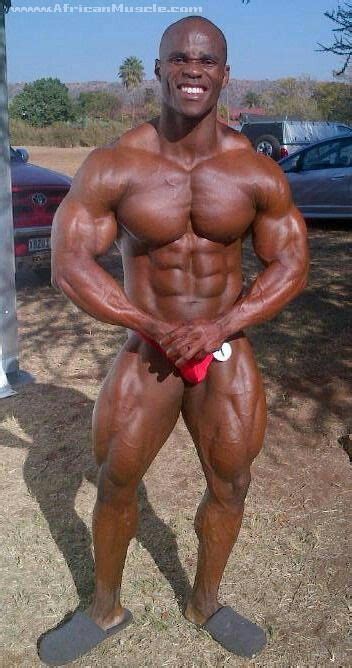 Danny devito dakimakura full body pillow case pillowcase cover. Pin on SA builders