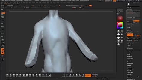 Maybe you would like to learn more about one of these? Anatomy study - Female Torso - YouTube