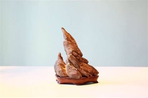 Whether it's for enhancing living space or just for showing off, you won't go wrong having one. Suiseki - Viewing Stones 539 | Stone, Bonsai art, Natural ...