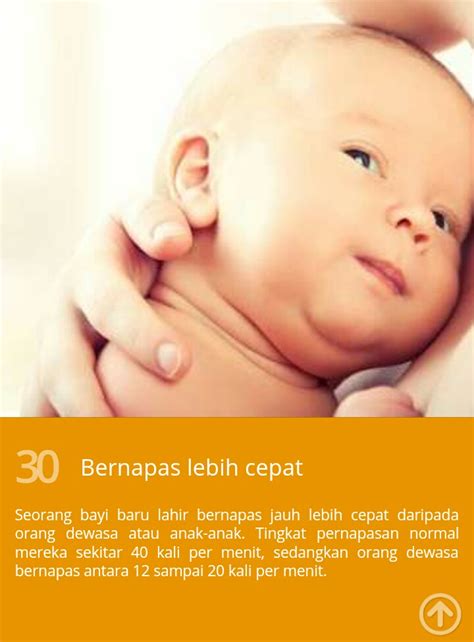 Doa untuk bayi baru lahir: Kata Mutiara Islami Untuk Bayi Baru Lahir - Kata Mutiara ...