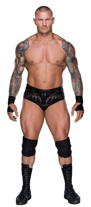 Orton was born in knoxville, tennessee, to bob orton, jr. Randy Orton | WWE