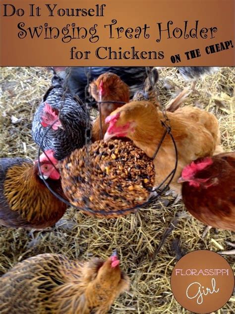 The women have given their . DIY Swinging Treat Holder for Chickens (On the Cheap ...