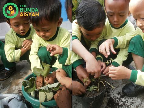 Contoh gambar lapangan bola basket lengkap beserta ukurannya. Gambar Bunga Untuk Anak Sd Kelas 1