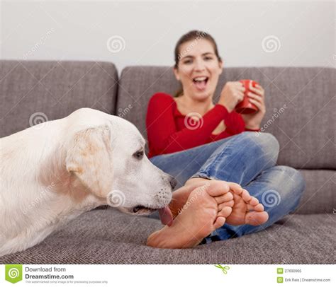 Loveherfeet i offered my feet and he made me cum. Cão Que Lambe Os Dedos Do Pé Imagem de Stock - Imagem de ...