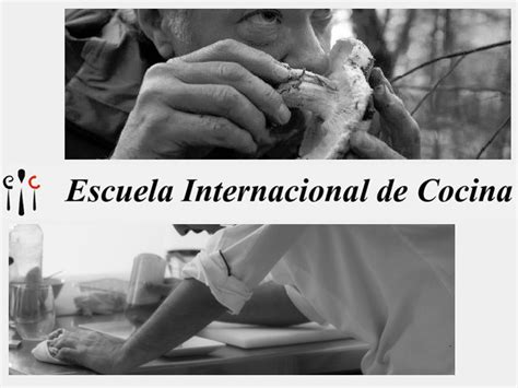 Red de ciudades y villas medievales. Cursos de micología en la Escuela Internacional de Cocina ...