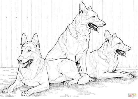 Free download 40 best quality husky coloring pages printable at getdrawings. Printable 14 Realistic Husky Coloring Pages 4715 ...