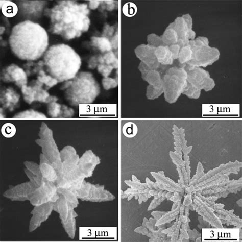 Cadmium must not react with chlorine. SEM images of CdS crystals obtained by reaction of CdCl2 ...