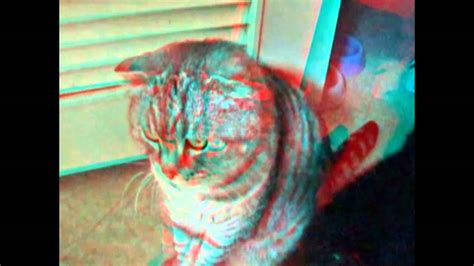 3D Fat Cat 立體貓貓影片(3D紅藍眼鏡) - YouTube