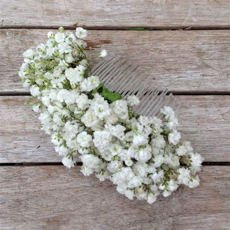 'baby's breath' symbolically represents sincerity and pureness of heart, but can also mean everlasting love.cut myself could be reference to growing up on dope and pureness of heart. Accessories - Fresh Cut Babys Breath Hair Comb #2574074 ...