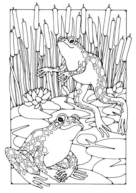 We have collected 35+ frog coloring page for adults images of various designs for you to color. Coloring page Frogs - img 18454. (With images) | Frog ...