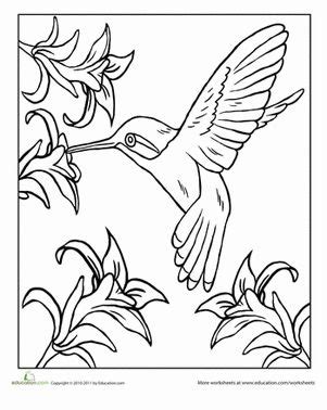 Hummingbird coloring page by moms & crafters (you're here!) bird & flowers by hattifant; Hummingbird Coloring Page | Bird coloring pages, Easy ...